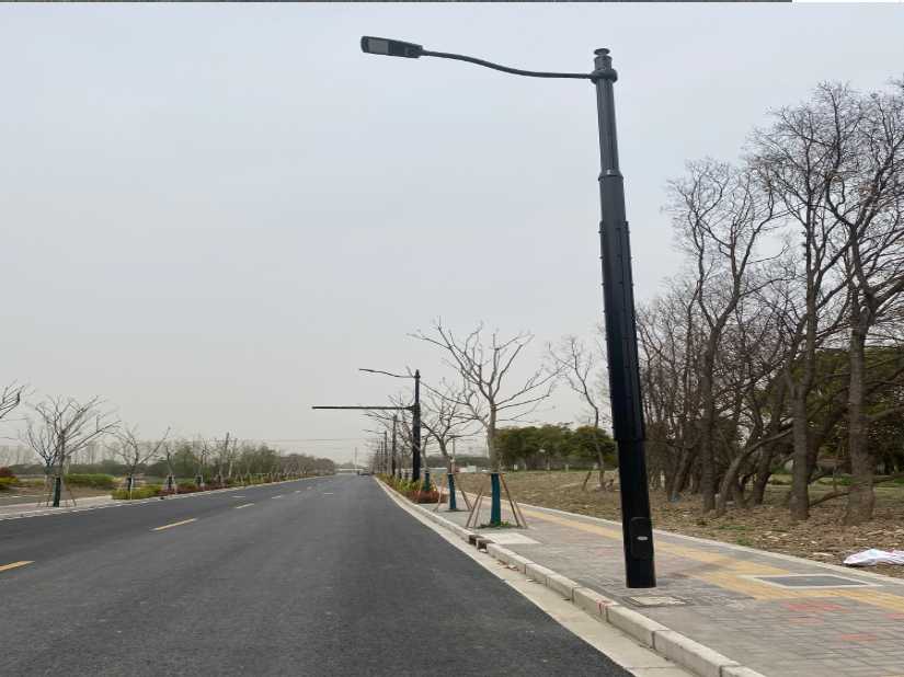 钟楼区上海综合杆 太阳能路灯工程